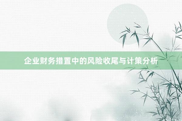 企业财务措置中的风险收尾与计策分析